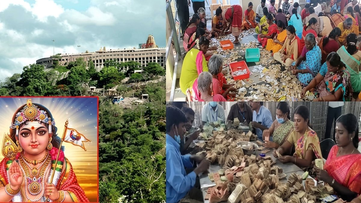 tamil.oneindia.com