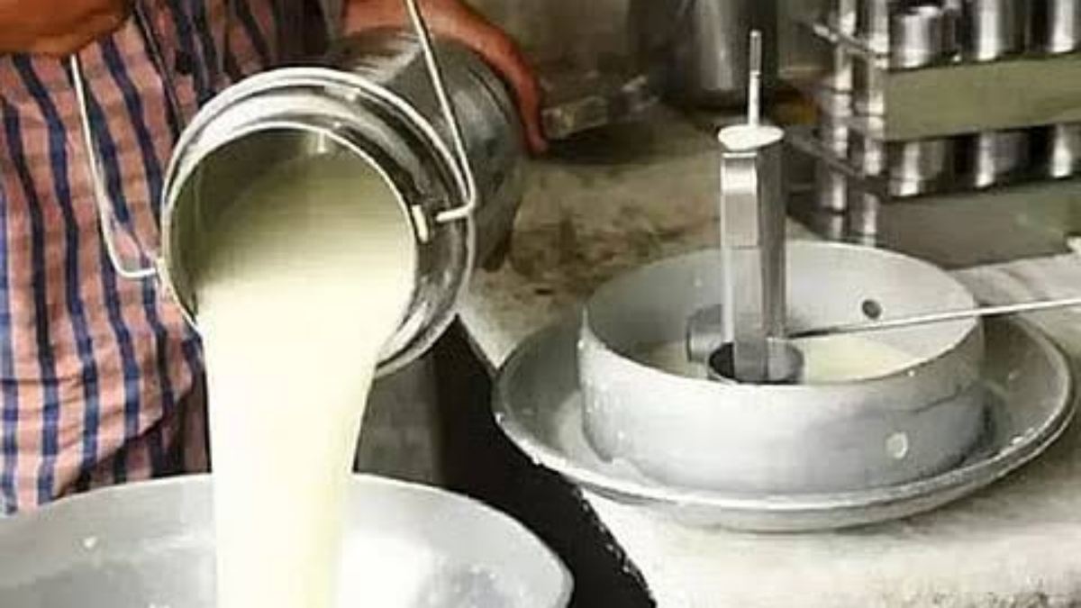 tamil.oneindia.com