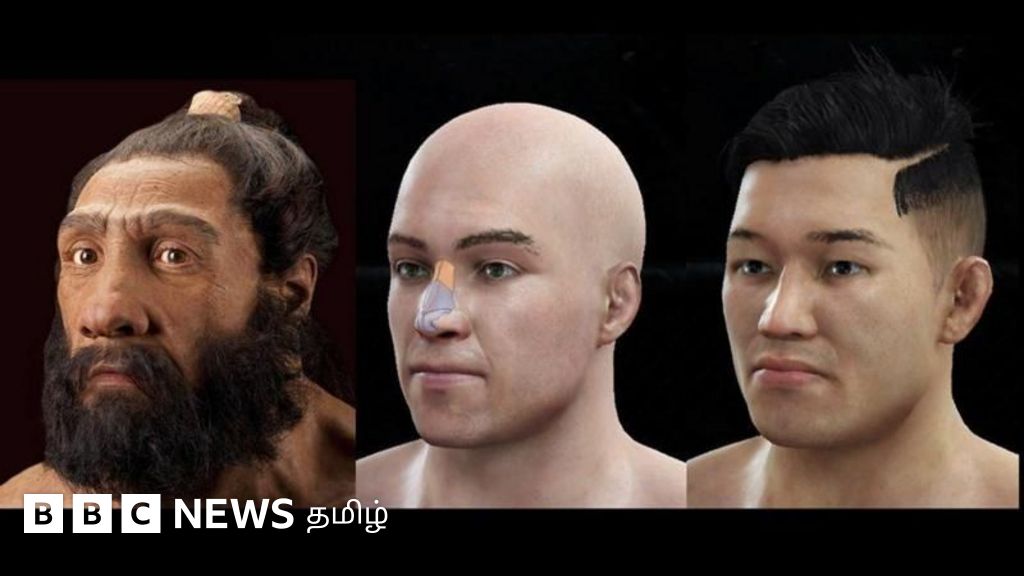 bbc.com