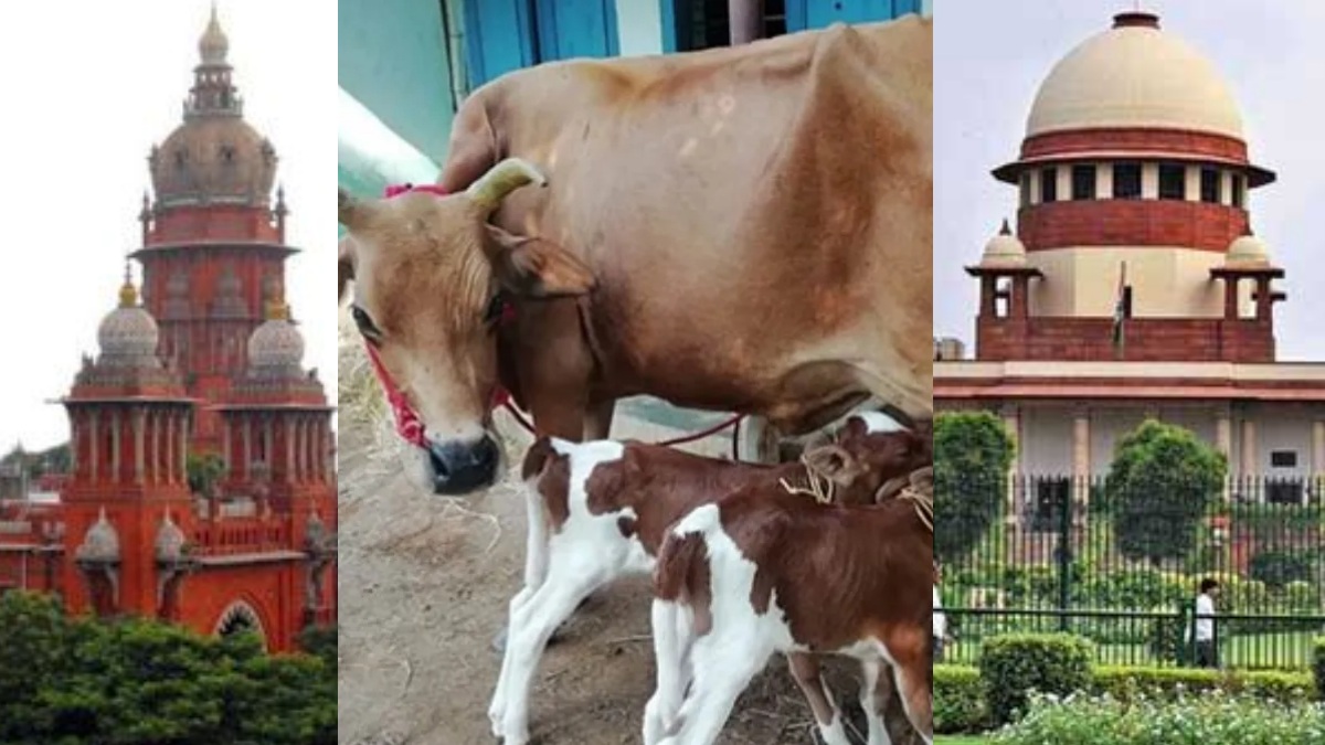 tamil.oneindia.com