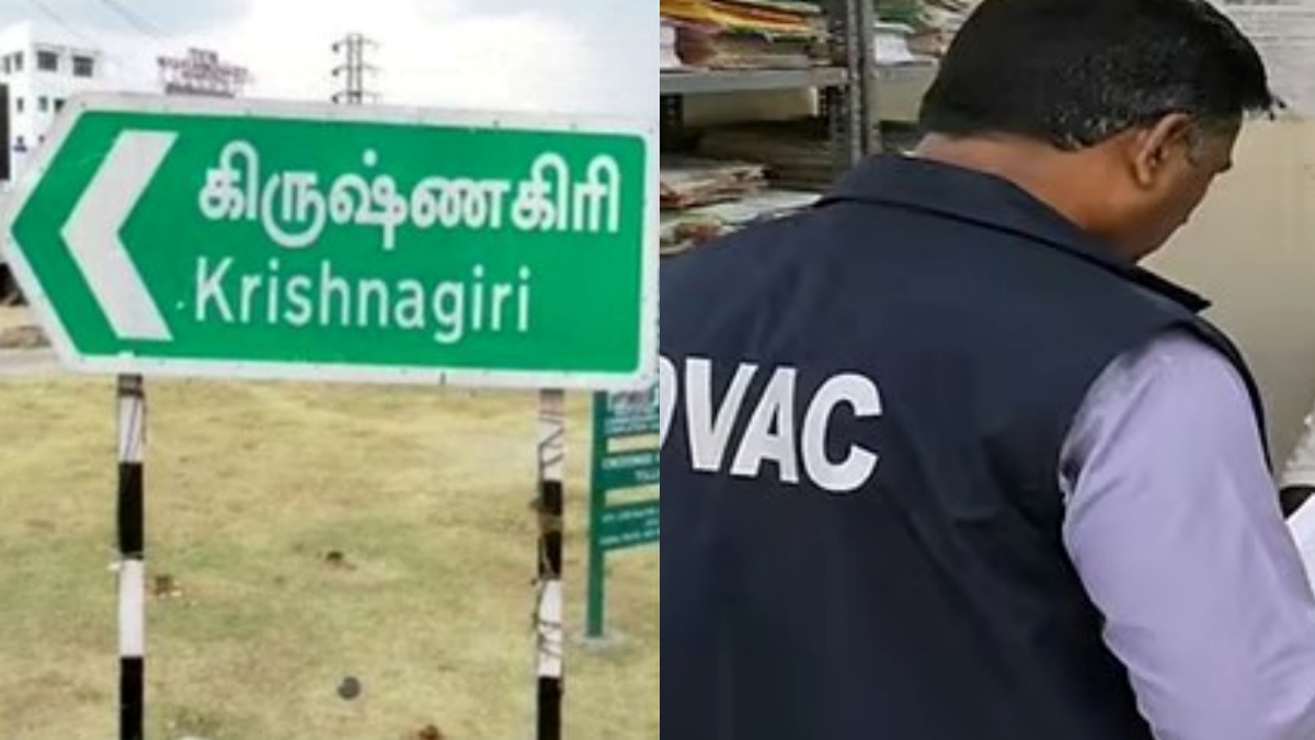 tamil.oneindia.com