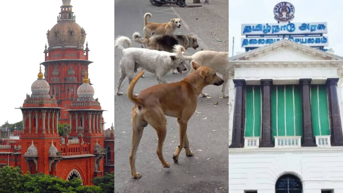 tamil.oneindia.com