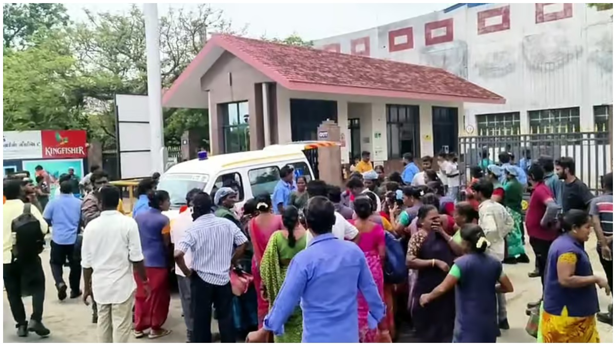 tamil.oneindia.com