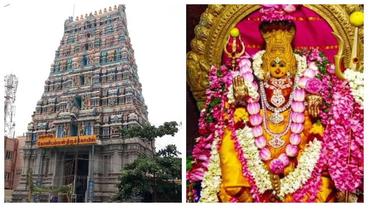 tamil.oneindia.com