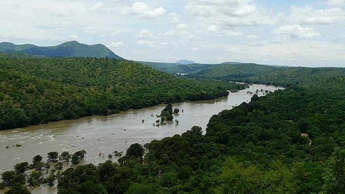 tamil.oneindia.com