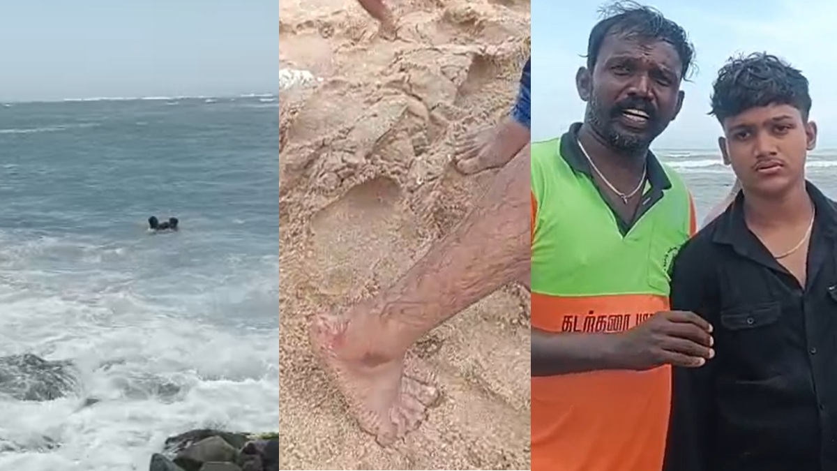 tamil.oneindia.com