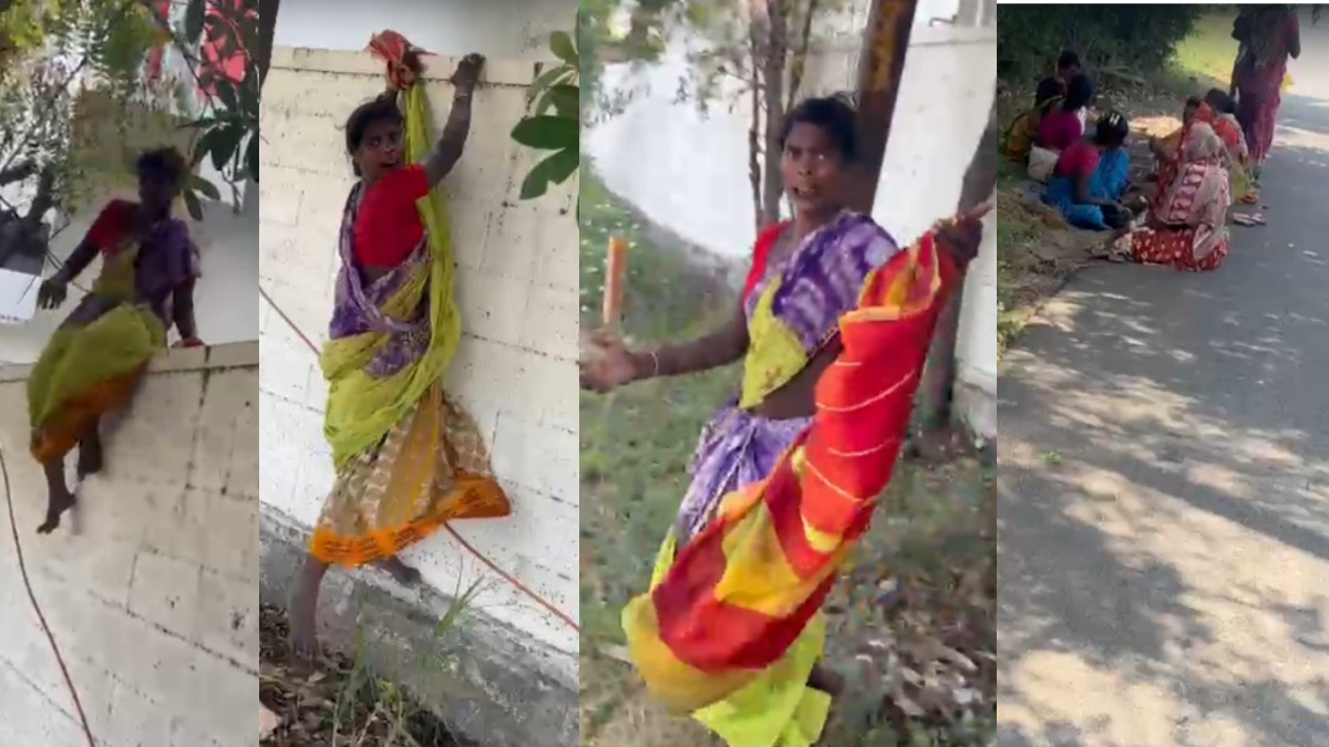 tamil.oneindia.com