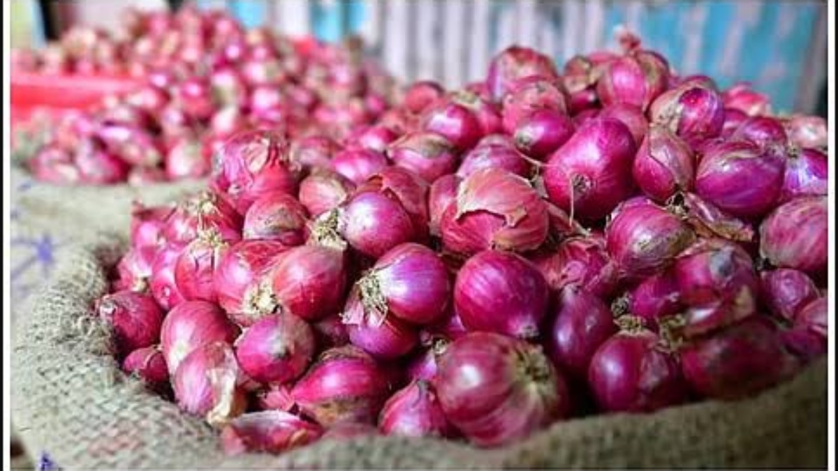 tamil.oneindia.com