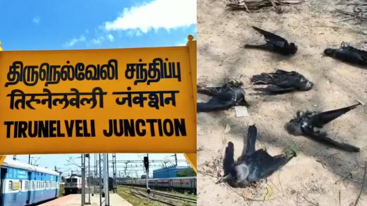 tamil.oneindia.com