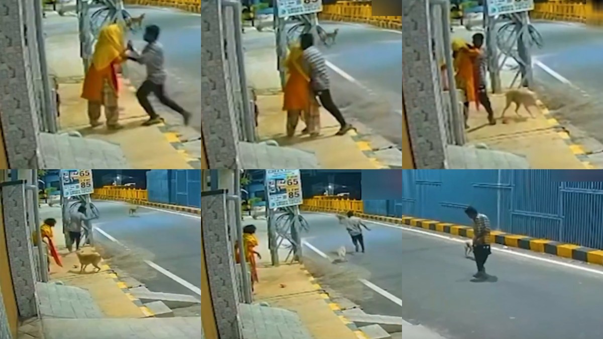 tamil.oneindia.com