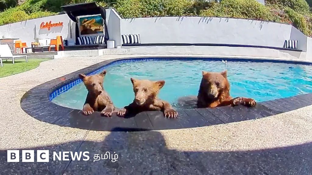 bbc.com