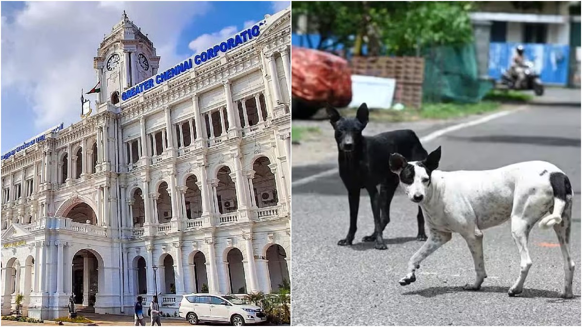 tamil.oneindia.com