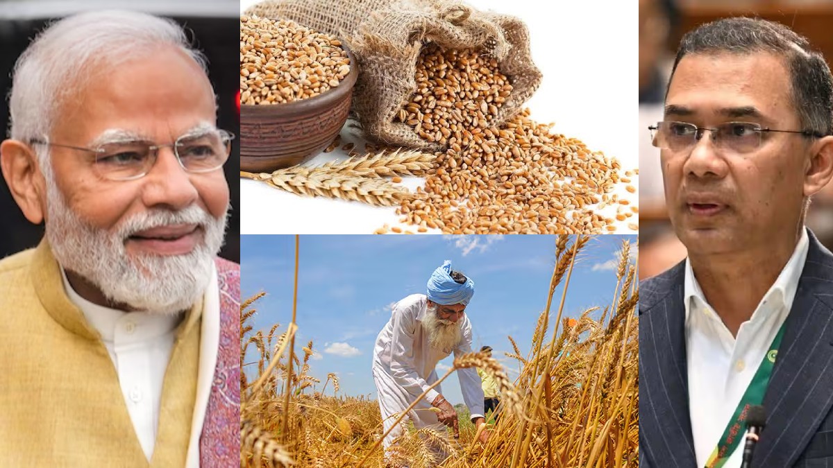 tamil.oneindia.com