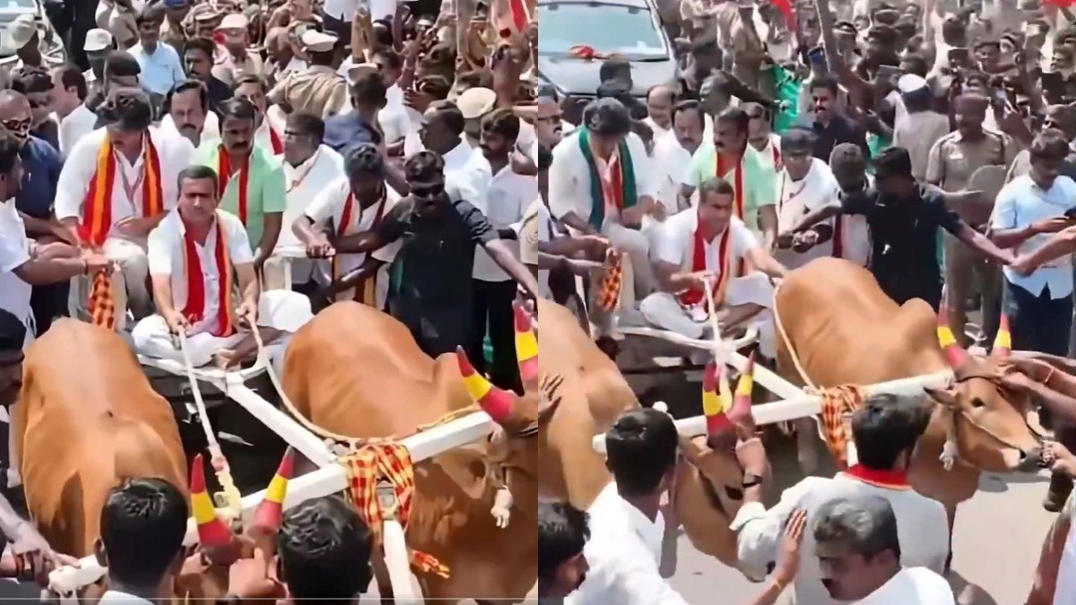 tamil.oneindia.com