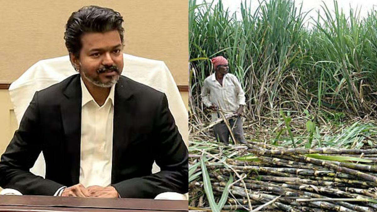 tamil.oneindia.com