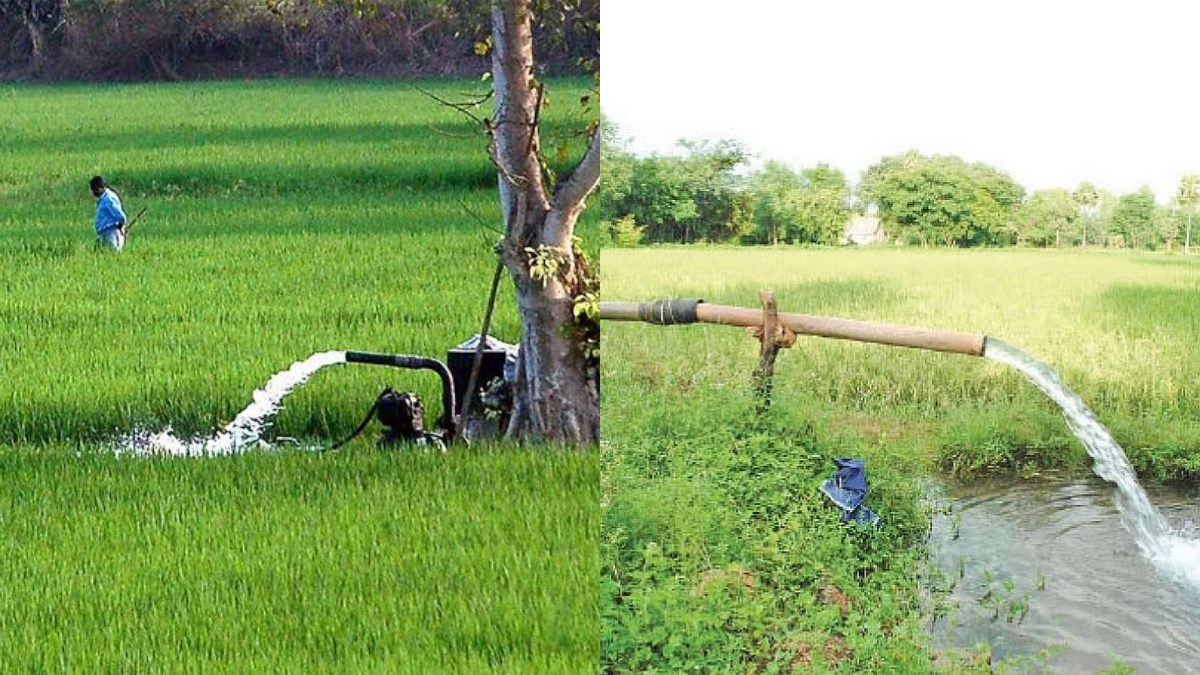 tamil.oneindia.com